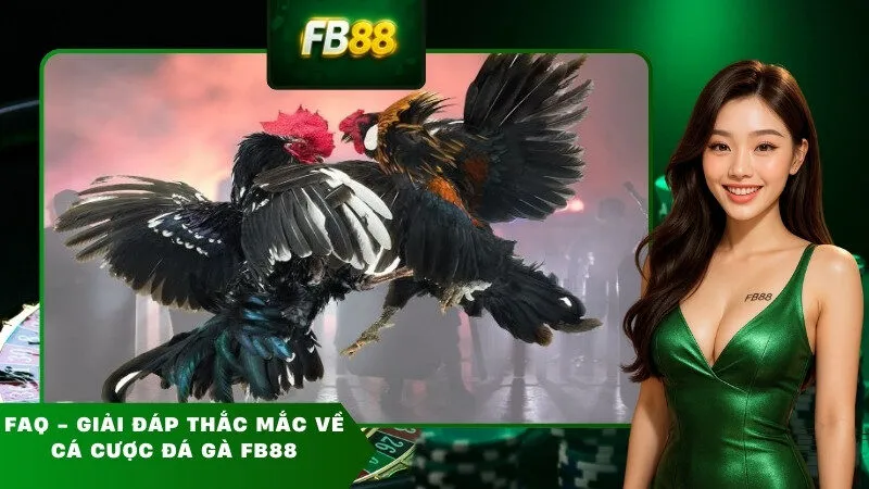 FAQ - Giải đáp thắc mắc về cá cược đá gà FB88