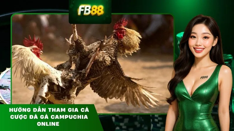 Hướng Dẫn Tham Gia Cá Cược Đá Gà Campuchia Online